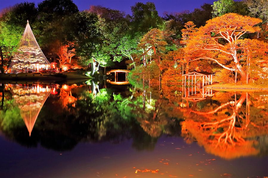 Autumn leaves Illumination Recommended spots in Kanto Gardens 2024 Rikugien Tokyo Komagome Bunkyo Ward One of the two great gardens of Edo One of the best autumn leaf viewing spots in Tokyo San'in Bridge