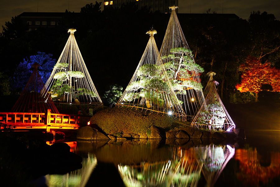 Autumn leaves Light-up Recommended spots in Kanto Garden 2024 Makuhari Seaside Park Mihamaen Chiba Pond stroll style Japanese maples surrounding the pond Euonymus euonymus Fantastic Yukitsuri