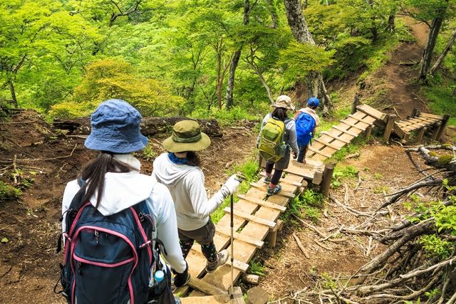 西丹沢の木道をトレッキングする人々