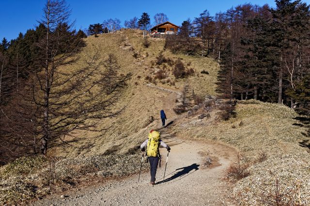 雲取山の山頂下を歩く登山者