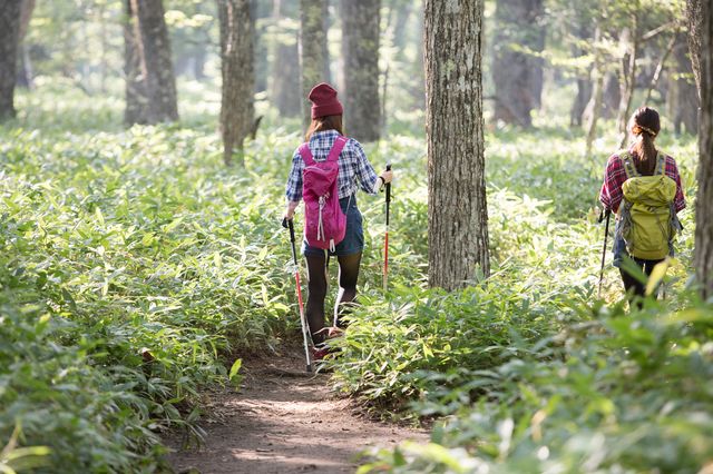 Women enjoying trekking in Senjogahara, Nikko