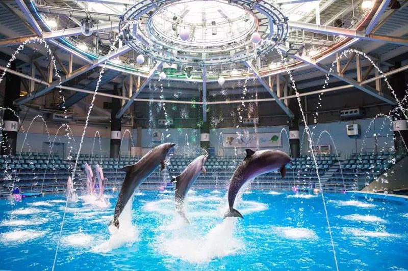 關東地區推薦的10大水族館和按規模排名的前5大水族館