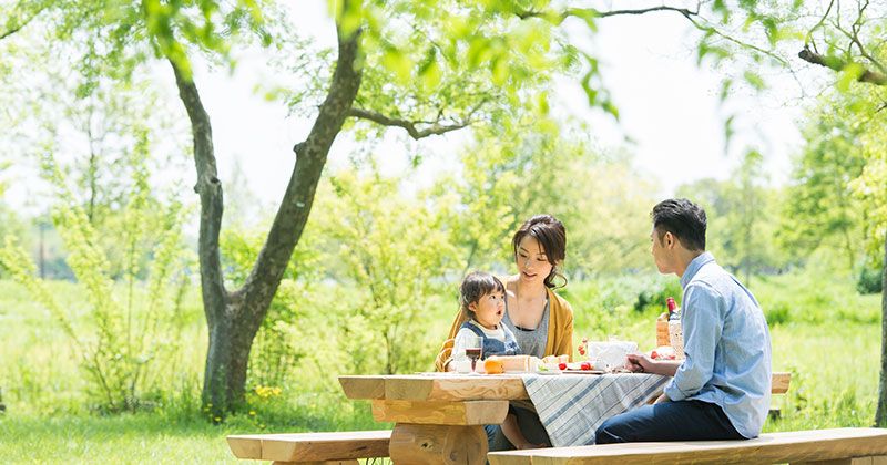 Kanto day trip leisure feature! A thorough introduction to recommended spots for traveling, driving, dating, and with children!