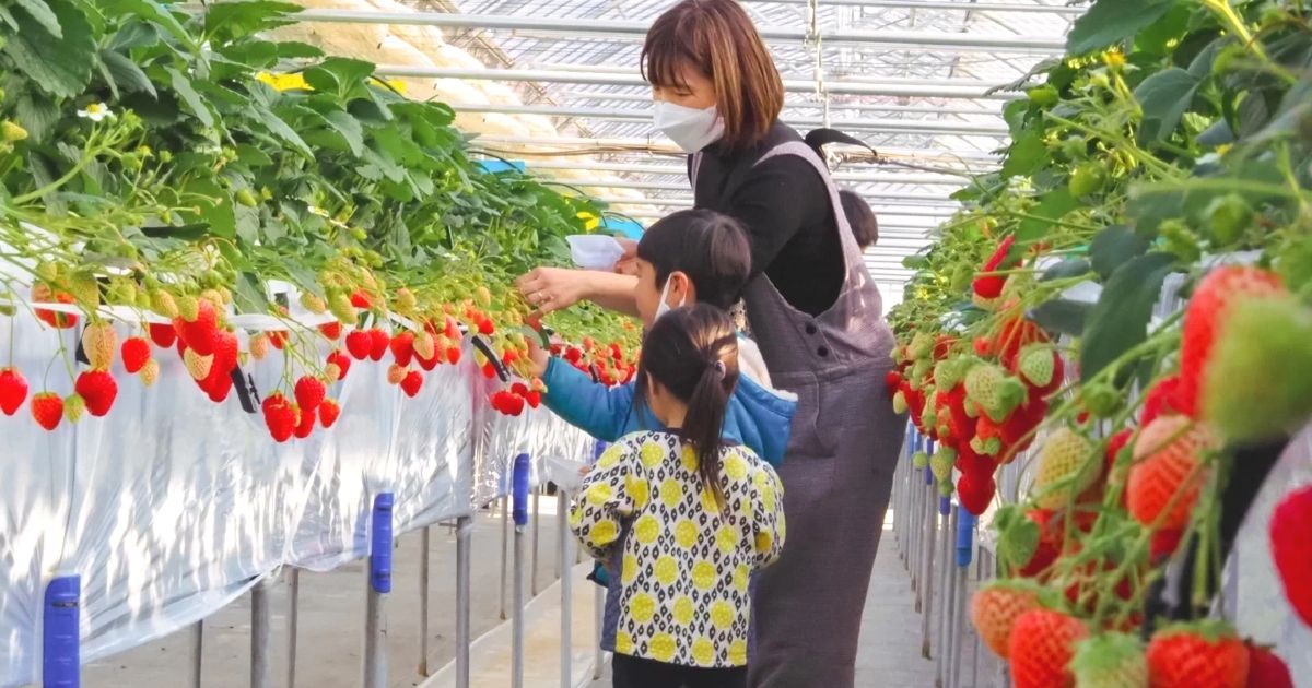 軽井沢のアクティビティ！春・夏・秋・冬ごとにおすすめを紹介の画像