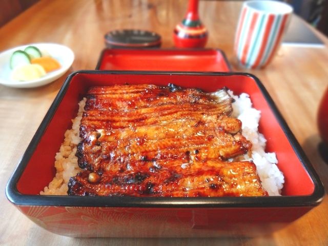 Kawagoe eel specialty restaurant “Ogawa Kiku” popular menu “Unaju”