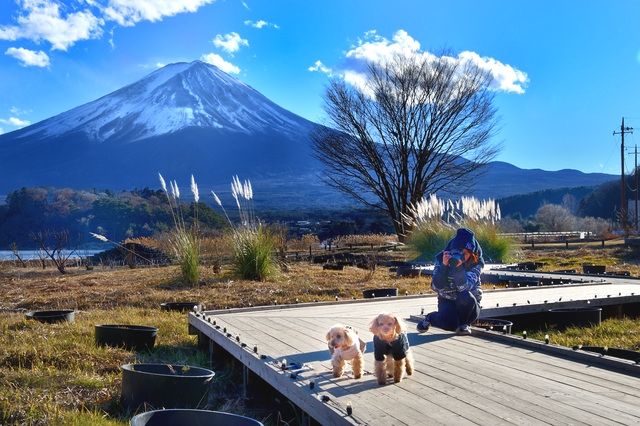 大石公園で愛犬と富士山を記念撮影する様子