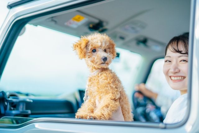 Enjoying a drive with her dog