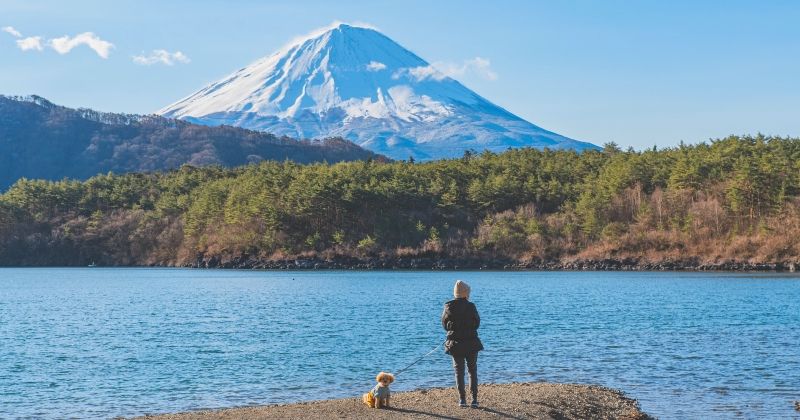 Lake Kawaguchi Sightseeing with dogs! Pictures of places to play together and recommended lunches