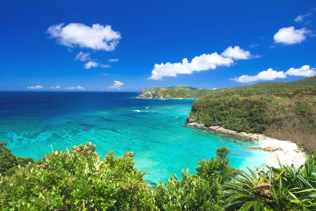 慶良間諸島　阿嘉島