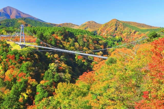 九州・大分　子連れ旅行　おすすめスポット　「九重