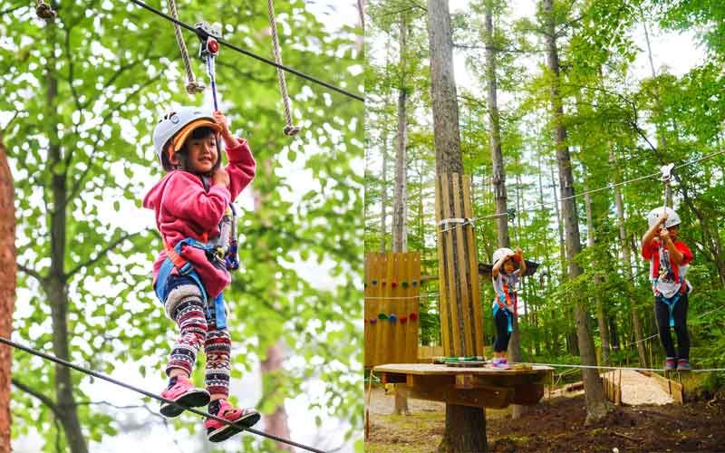 Ziplining And Thrilling Forest Adventures In Japan Activity Japan Blog