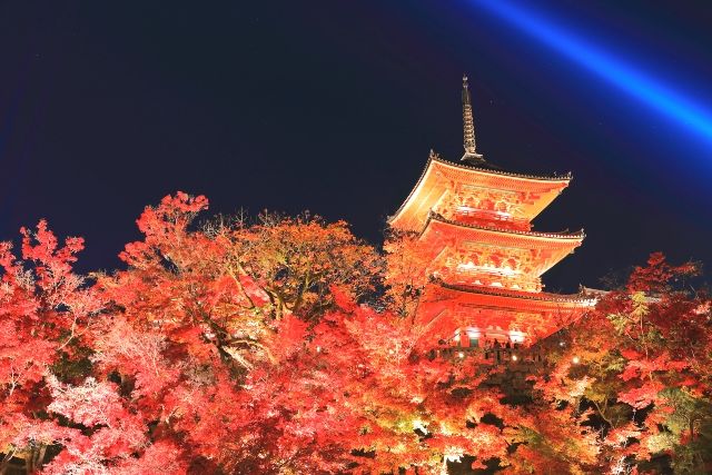 清水寺　三重塔　秋のライトアップ　紅葉