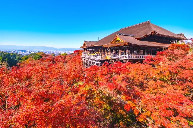 Kiyomizu-dera Temple in autumn, autumn leaves, sunny weather