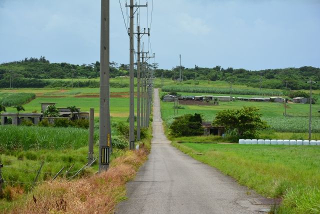 沖縄・小浜島のシュガーロード