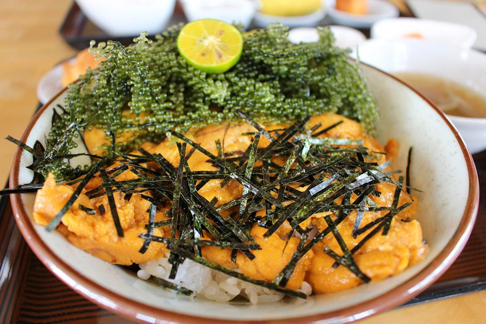 古宇利島でおすすめの人気ランチ店　しらさ食堂　海ぶどうウニ丼