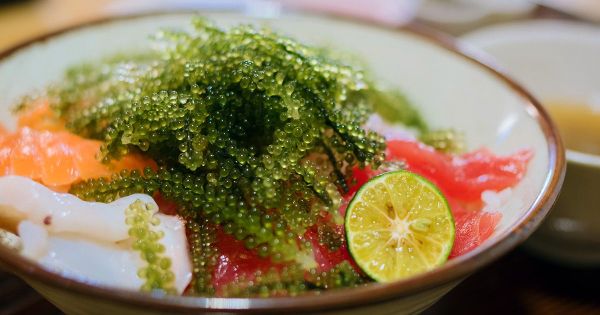 古宇利島ご飯おすすめ9選｜ランチや夜ご飯の人気店を徹底解説