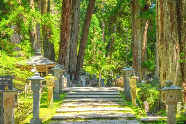 和歌山　高野山　観光スポット　院参道