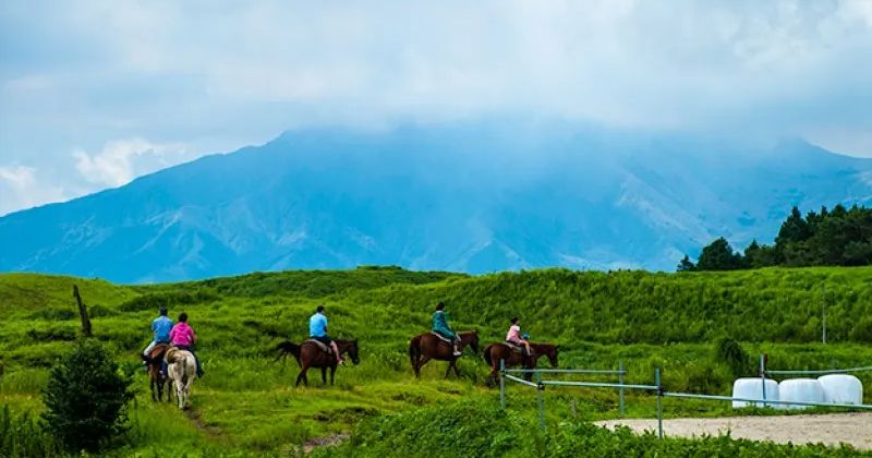 How much does horseback riding experience in Aso cost? A thorough introduction to the ranking of popular plans recommended for children! Image of