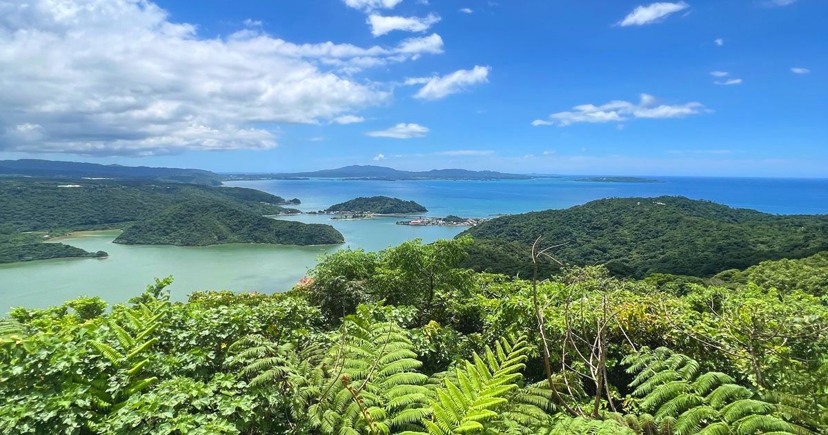 國頭村旅遊 | 介紹熱門景點,推薦美食和活動！的影像