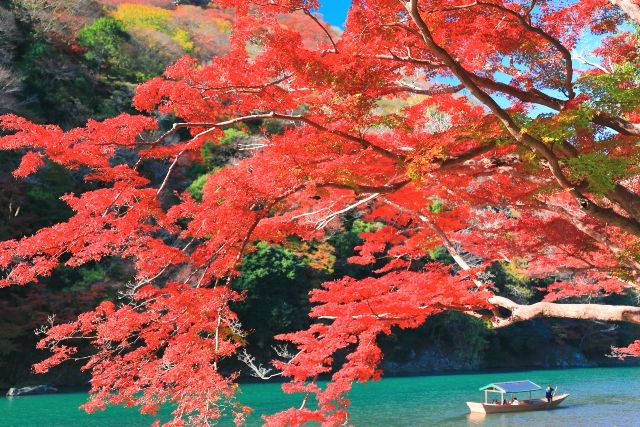 嵐山の紅葉シーズンの混雑状況と回避のコツ