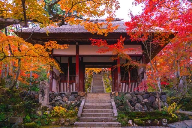 初めてでも外せない嵐山の紅葉名所　常寂光寺
