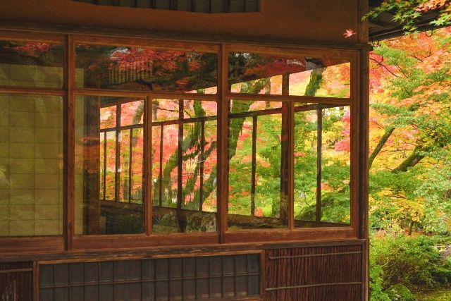 初めてでも外せない嵐山の紅葉名所　宝厳院