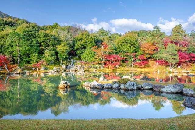 混雑を避けて巡る嵐山紅葉のおすすめ散策ルート　天龍寺