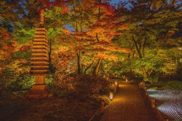 混雑を避けて巡る嵐山紅葉のおすすめ散策ルート　宝厳院のライトアップ