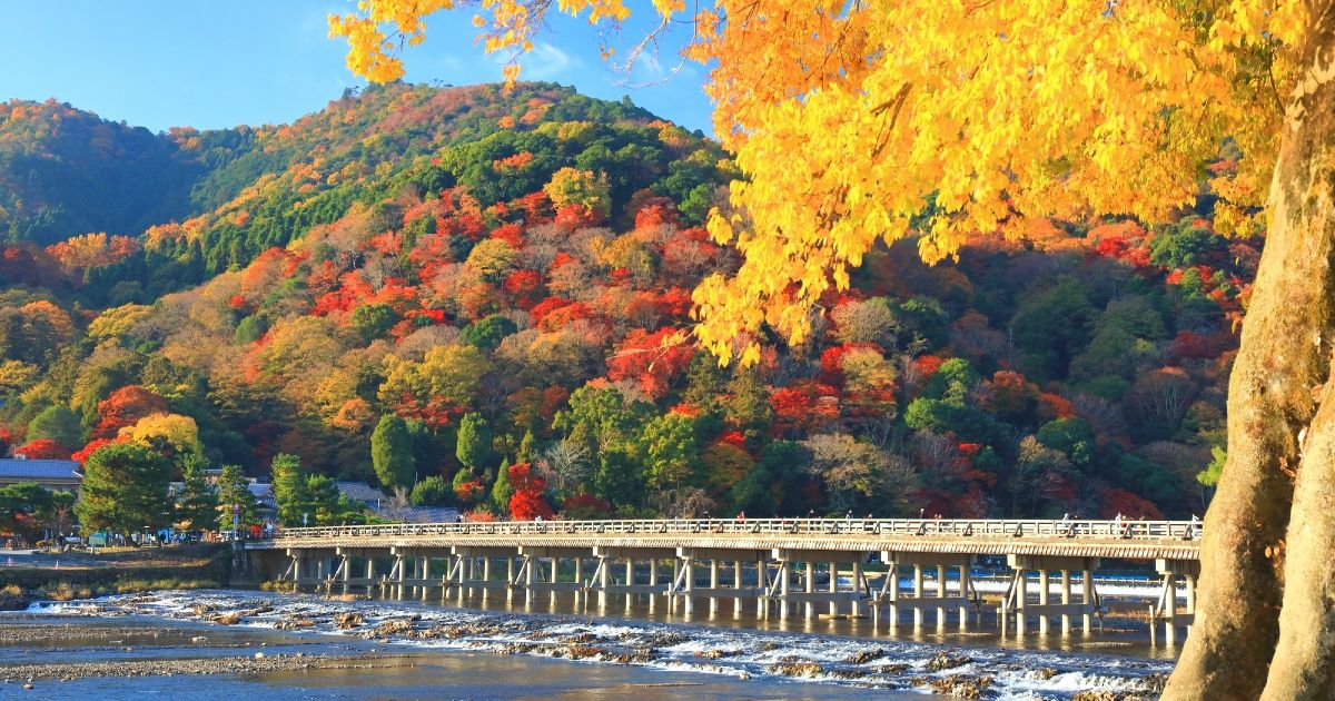 京都・嵐山の紅葉はいつが見頃？初めてでも迷わない名所とアクセスガイド