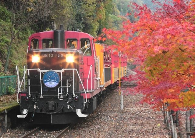교토 사가노 트로코 열차와 가을 단풍