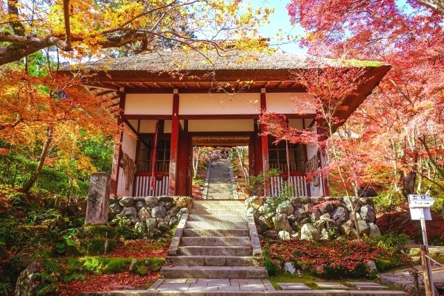 京都・常寂光寺の秋の紅葉
