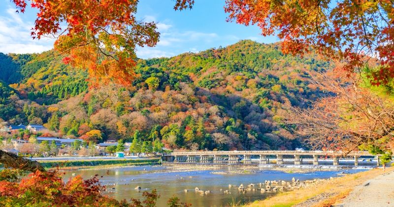 Kyoto Arashiyama sightseeing recommended spot! Image of