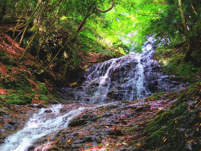 京都　絶景　穴場スポット　音無の滝