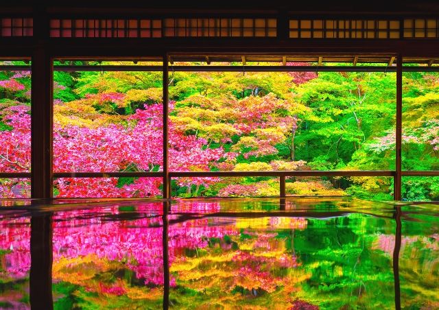 京都　絶景スポット　瑠璃光院　秋の紅葉　反射