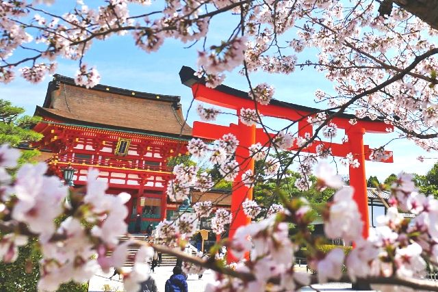 "주식회사 큐베(비와이치 오토바이/KYOTO)