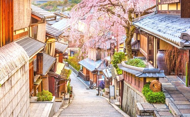 京都　女子旅　春　桜