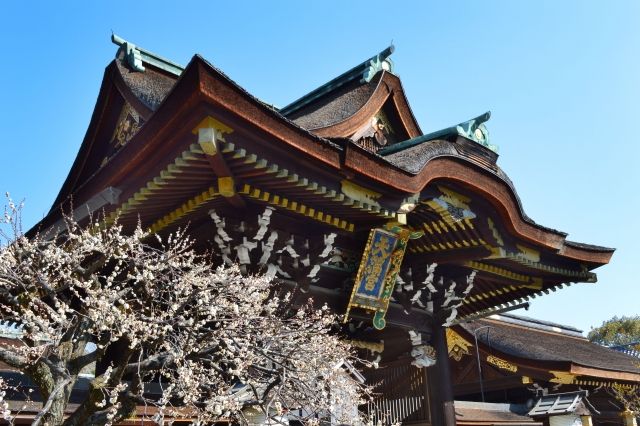 Sankomon Gate and white plum blossoms at Kitano Tenmangu Shrine, Kyoto
