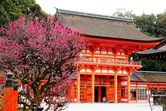 Sakuramon gate and Korin plum blossoms at Shimogamo Shrine, Kyoto