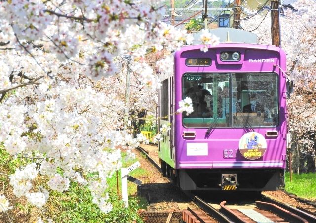 京都の桜と嵐電