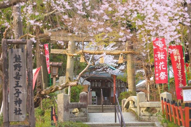熊野若王子神社と桜