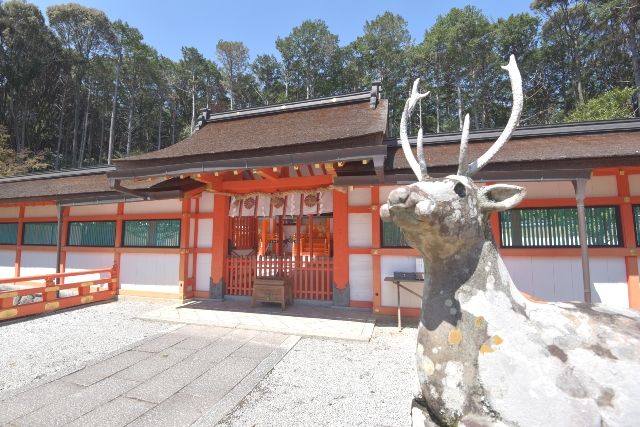 京都　大原野神社