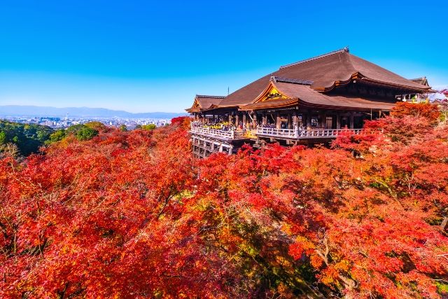 京都　観光スポット　インスタ映えスポット　清水寺　秋の紅葉