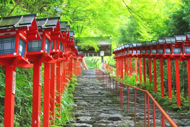 京都 贵船神社 新绿