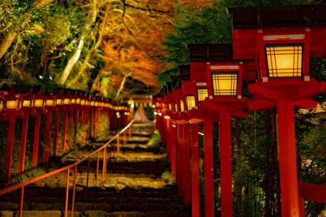 京都・貴船神社の紅葉ライトアップ