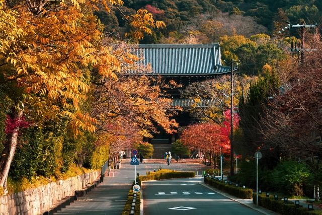 京都・紅葉の名所「知恩院道」