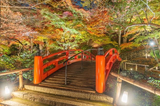 京都・北野天満宮の紅葉（夜間特別拝観）