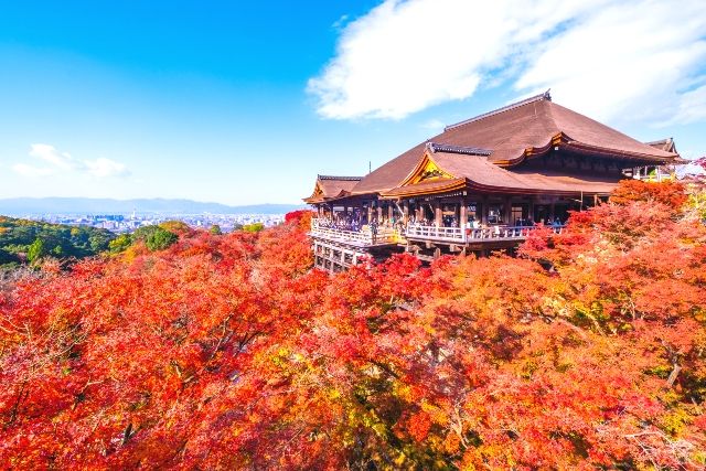 京都　清水寺　秋の紅葉