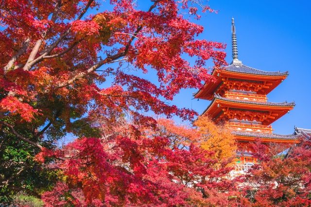 京都　清水寺の三重塔と紅葉　子安塔