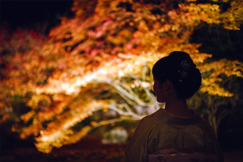 京都　観光　夜間拝観　ライトアップ　紅葉を楽しむ着物姿の女性