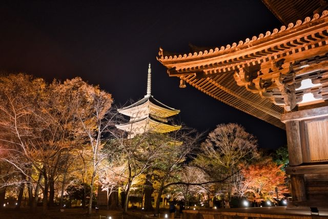 京都府にある東寺の紅葉ライトアップ